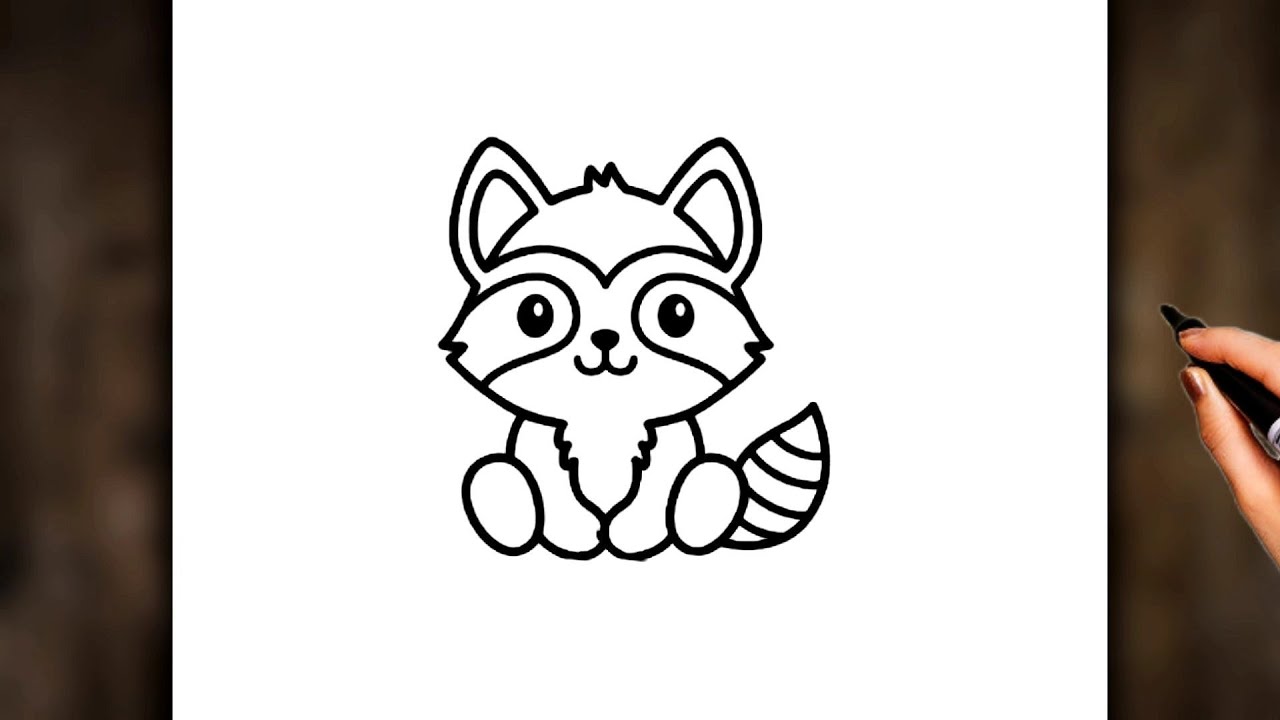 Comment dessiner un raton laveur étape par étape ️ ( facile 😊 ) - YouTube