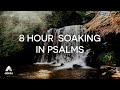 Abide Bible Bedtime Psalms Sleep Talkdown PLAYLIST: Prayers, Psalm 91, Psalm 23, Psalm 121 & 24 more