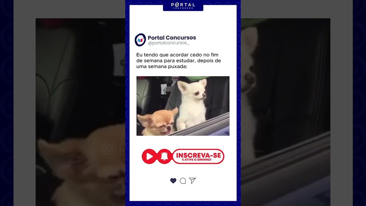 QUEM MAIS ACORDA ASSIM NO FINAL DE SEMANA PARA ESTUDAR?!