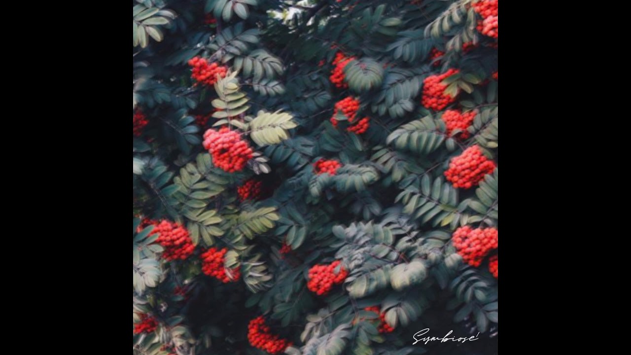 Raffiness X Joe Hennessy - Zeit REMIX