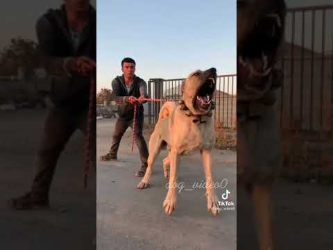 88888 - YouTube