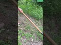 🌱⛏️Guarded Weed-Cutting Hoe for Cleaner Weed Removal
