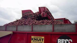 Aardappels rooien met de De Wulf Kwatro 4-rijige door loonbedrijf KNUIT uit heinkenszand