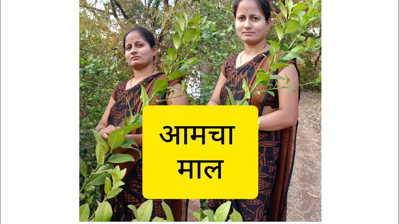 आम्ही गेलो शेतावर #video #marathi #व्हिडिओ आम्ही गेलो शेतावर 