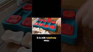 Brick - Nina Ottosson Puzzle Toy Review