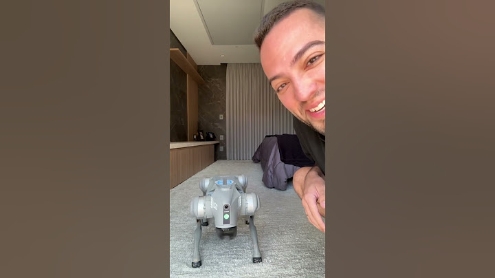 Mostrando TUDO que meu cachorro de 40 mil reais faz