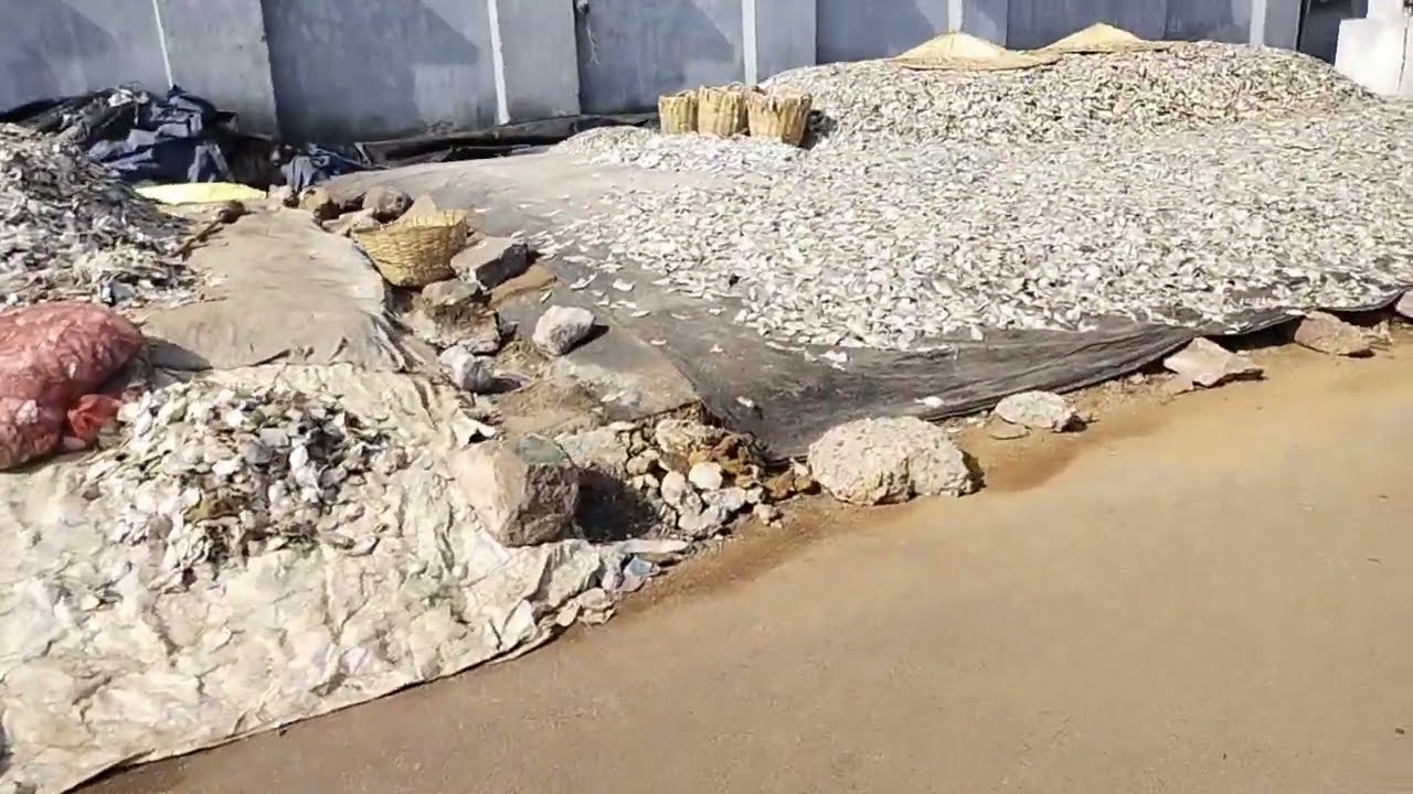 vishakhapatnam ghumne gaye the