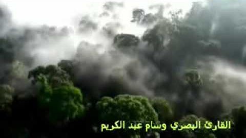 القارئ وسام العبادي