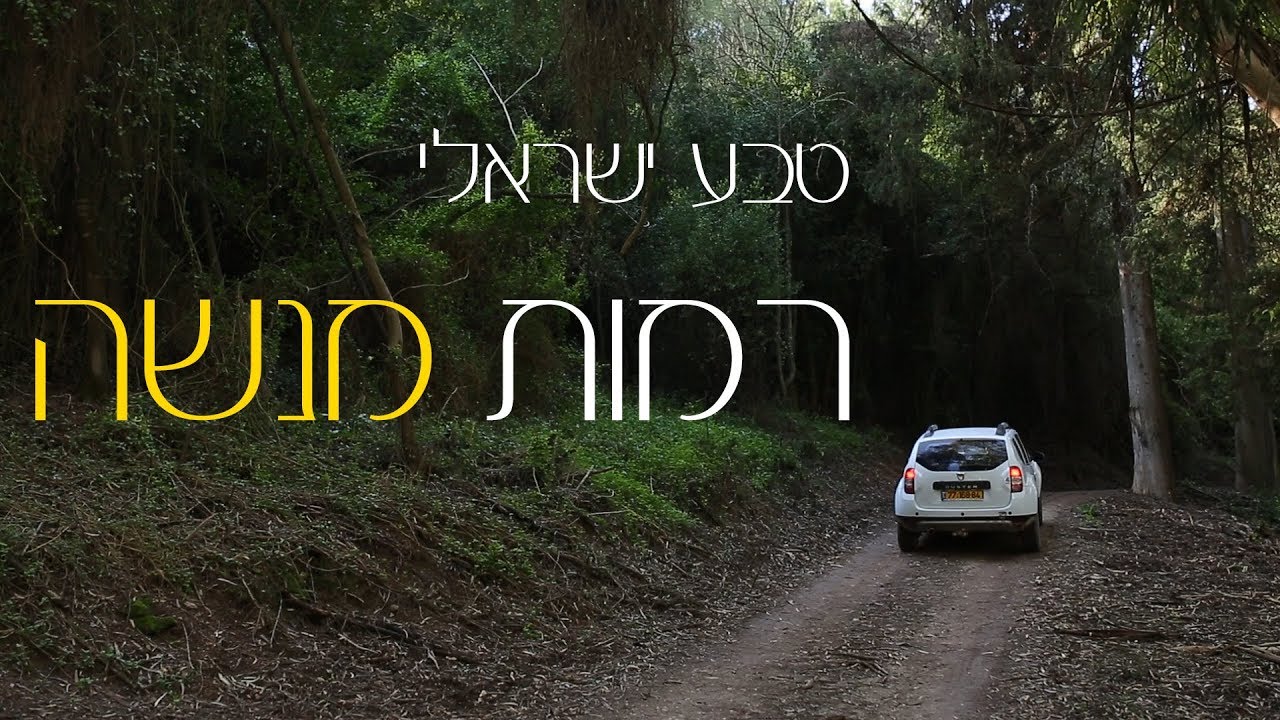 רמות מנשה, טבע ישראלי. טריטונים במעיין.