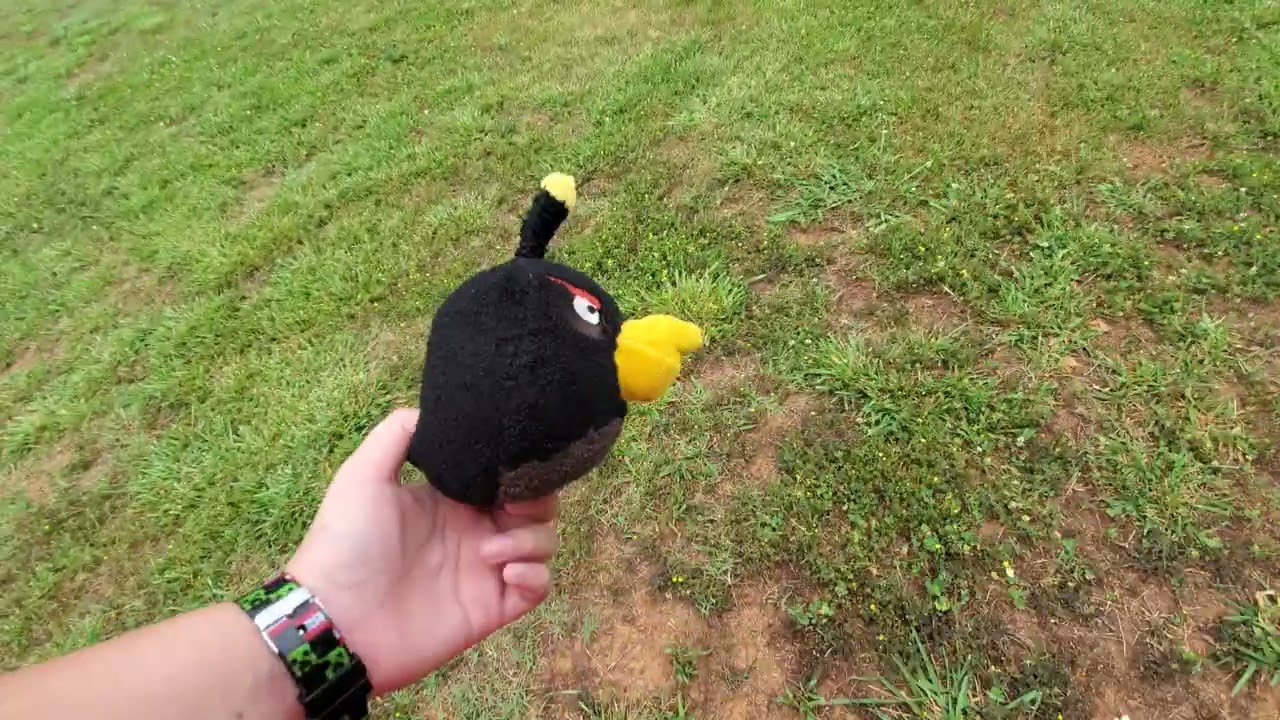 Angry birds chasing each other