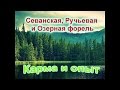 Русская рыбалка 3.9. Севанская, Ручьевая и Озерная форель на Рыбхозе (6 разряд). Карма и опыт.