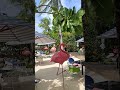Пхукет 🏝️ пляж 🏊 Ао Йон 🍍#music #taitai #trips #journey #phuket #asia #flamingobeach
