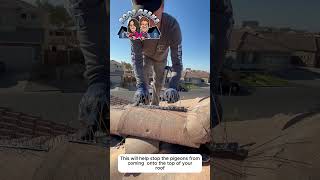 Installing bird deterrent spikes on an Arizona roof. spikes #roofing #pigons #spikes #