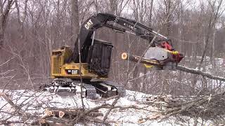 2012 CAT 501HD Harvester with a Fabtek 4 Roller Head