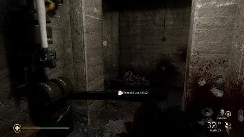 Call of Duty WW2 bug
