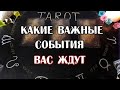 ВАЖНЫЕ СОБЫТИЯ!!! ГАДАНИЕ НА БЛИЖАЙШЕЕ БУДУЩЕЕ.