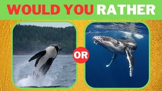 Would You Rather Quiz-Animal Edition 🐋🦈🐊🐅🐆