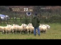 Bobby dalziel  spot  final  international sheep dog trial 2011