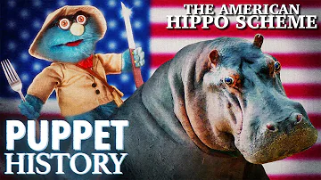 How Hippo Meat Almost Saved America • Puppet History