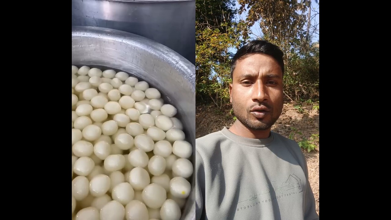 rasgulla 