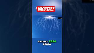 A água-viva que desafia a morte: o segredo da imortalidade!