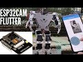 Humanoid Robot  Flutter ESP32 ESP32CAM