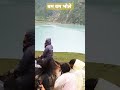 #amarnath #shiva #shorts #jammukashmir #news