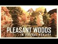 Relax at Pleasant Woods  - 360 degrees video