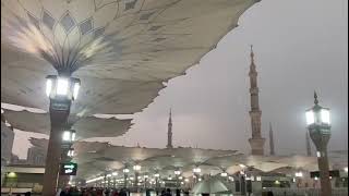 Rain in Masjid e Nabvi today