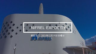 生きているミュージアム NIFREL（ニフレル）に行ってみた |  NIFREL