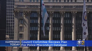 City Council Committee To Review Plan For Police Misconduct Database