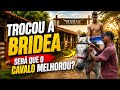 Será que o cavalo melhorou com essa bridea?