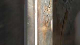 #phonk#жаровня#Пушкина8#открыты#каждый#день#с#10:00до#00:00