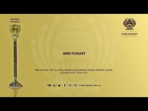 Mini Plenary, 10th