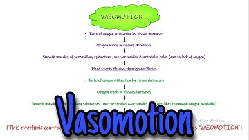 Vasomotion. Chapter 16 (part 3). Guyton and Hall Physiology.