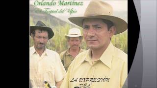 Que Esta Pasando-Orlando Martinez.wmv