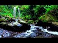 Relaxing River Sounds, Healing Forest Ambience with Birds Chirping , ASMR Waterfall Sounds for Sleep