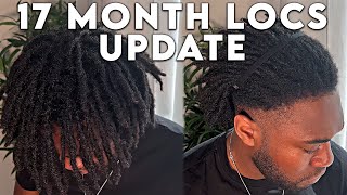 17 MONTH LOC UPDATE | Dreadlocks Thinning, Interlocking vs Palm rolling, Hair Mist Formulation Wealth