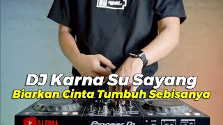 DJ BIARKAN CINTA TUMBUH SEBISANYA REMIX | DJ KARNA SU SAYANG VIRAL TIKTOK FULL BASS TERBARU 2023