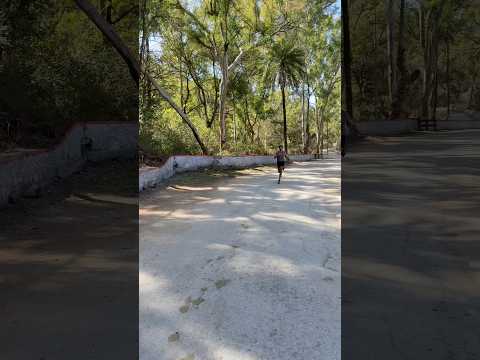 When being helpful goes wrong😭 #hsia #hsiabra