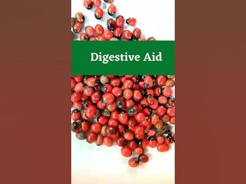 MIRACLE SEEDS: ABRUS PRECATORIUS(JEQUIRITY, GUNDU MONEY PLANT )LIFE