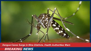 Dengue Cases Surge in Nine Districts, Health Authorities Warn