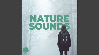 Smooth Chirping - Naturemen