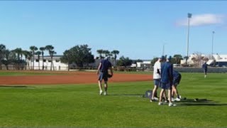 Rays Spring Training workouts begin