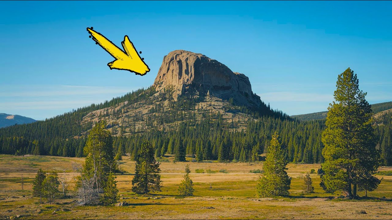 Ученые обнаружили огромную тайну, скрытую в самом большом дереве мира!