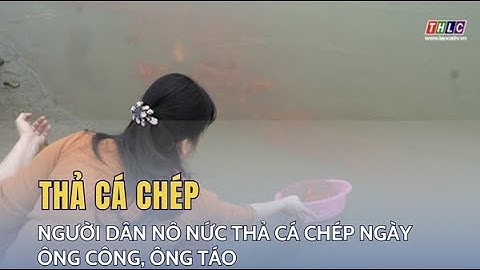 Người dân nô nức thả cá chép ngày ông Công, ông Táo | THLC