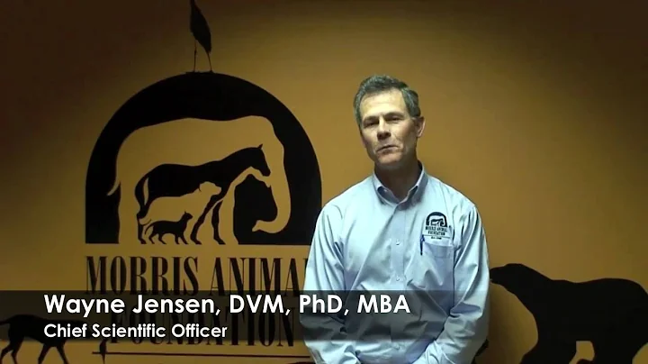 Dr. Wayne Jensen - Importance of Horse Health