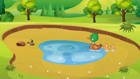 Braindom Level 250 End the drought in the lake walkthrough