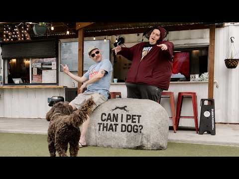 Fridge & Type - Can I Pet That Dog? (Official Video)