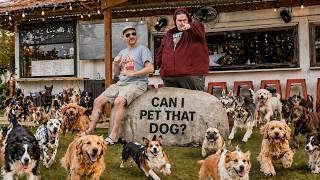 Fridge & Type - Can I Pet That Dog? (Official Video)